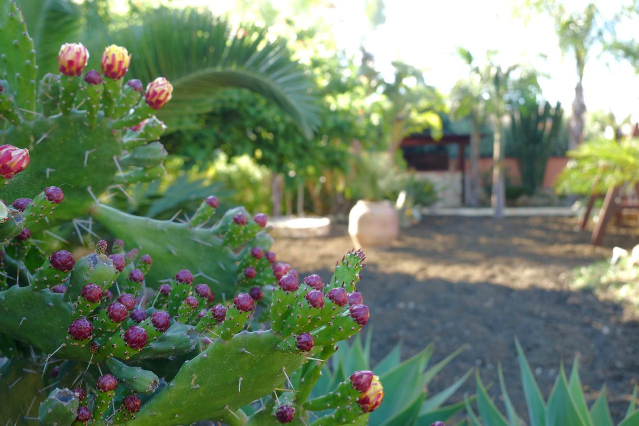 B&B Templi E Arte Villaggio Mose  Bagian luar foto